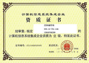 《信息系统集成及服务项目管理人员登记管理办法》解读与应用指南