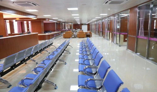 开平市一站式健康管理服务系统正式上线 信息系统集成服务全面启用